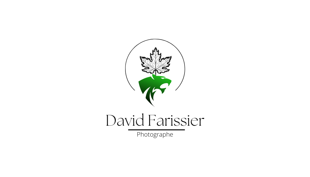 David Farissier Photographe