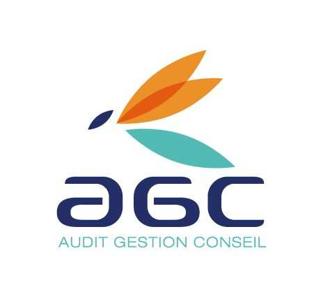 AUDIT GESTION CONSEIL